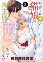 身寄りのニャい猫娘は、神主様に溺愛されてます！？ 3