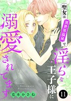 聖女は異世界温泉で淫らな王子様に溺愛されてます 11