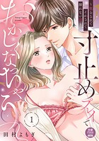 寸止めプレイでおかしくなっちゃう〜焦らされてイかされて挿（い）れない沼〜【電子単行本】