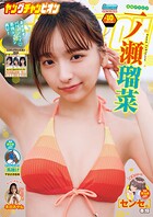 ヤングチャンピオン 234