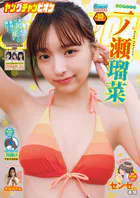 ヤングチャンピオン