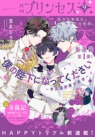 プリンセス 120
