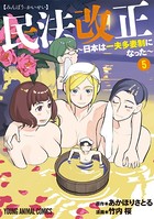 民法改正〜日本は一夫多妻制になった〜 5