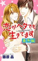 Love Silky 恋がヘタでも生きてます 番外編（単話）