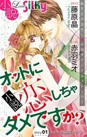 小説 オットに恋しちゃダメですか？