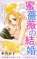 Love Silky 蜜薔薇の結婚 story08