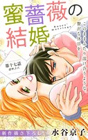 Love Silky 蜜薔薇の結婚 story17