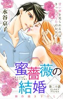 Love Silky 蜜薔薇の結婚 story20