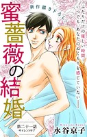 Love Silky 蜜薔薇の結婚 story21