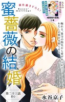 Love Silky 蜜薔薇の結婚 story23
