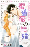 Love Silky 蜜薔薇の結婚 story29