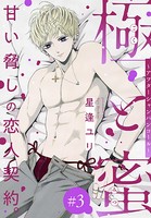 極と蜜〜アフターシャンパンコール〜［1話売り］ story03