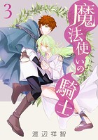 魔法使いの騎士3