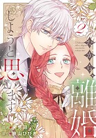 だから、離婚しようと思います 2