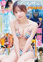 【電子版】ヤングアニマル 293