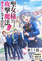 聖女様になりたいのに攻撃魔法しか使えないんですけど！？ 第11話【単話版】