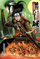雑賀六字の城 〜信長を撃った男〜