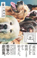 アントロポセンの犬泥棒