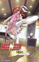 V.G.NEO 完全版【フルカラー】