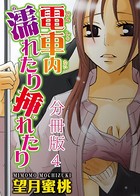 電車内濡れたり挿れたり（単話）