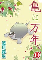 亀は万年。