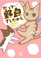 だって野良でしたから。 ドブ板の下に子猫がいた