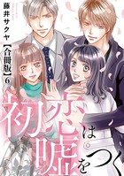 初恋は嘘をつく 合冊版