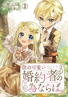 僕の可愛い婚約者の為ならば。 3