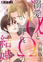 溺愛αと野良Ωの結婚合冊版 3