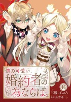 僕の可愛い婚約者の為ならば。 16