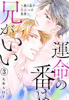 運命の番は兄がいい〜繰り返す弟αへの発情〜 3