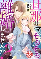 旦那サマ、そろそろ離婚しませんか？28