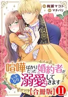 喧嘩ばかりだった婚約者がいきなり溺愛してきます【合冊版】11