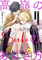 高嶺のSubのあばき方〜君の心をとかすコマンド〜1