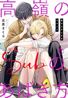 高嶺のSubのあばき方〜君の心をとかすコマンド〜3