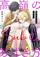 高嶺のSubのあばき方〜君の心をとかすコマンド〜5