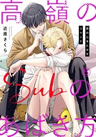 高嶺のSubのあばき方〜君の心をとかすコマンド〜6