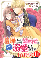 喧嘩ばかりだった婚約者がいきなり溺愛してきます【合冊版】
