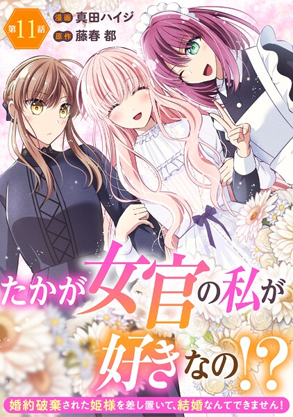 たかが女官の私が好きなの！？ 婚約破棄された姫様を差し置いて、結婚なんてできません！11