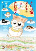 メチャイロちいき猫やってます！ 4
