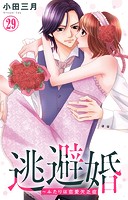 逃避婚〜ふたりは恋愛欠乏症 29