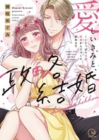 愛しいきみと、政略結婚〜いじっぱり夫婦、初夜から子づくり始めます【単行本版】1【特典ペーパー付き】