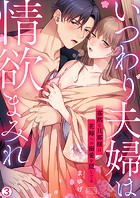 いつわり夫婦は情欲まみれ〜寡黙な旦那様は花嫁への溺愛を隠してる〜（3）