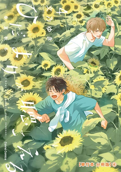 ひだまりが聴こえる-春夏秋冬-4【単行本 分冊版】4