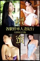 各駅停車人妻紀行 壇蜜 大容量完全版