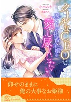 クールなCEOは囚われの社畜令嬢を愛し尽くしたい