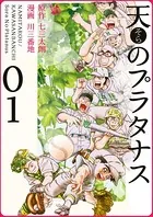 天のプラタナス