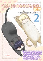 せんくうのあるばとろすにゃ 〜略して（？）にゃんある〜 2