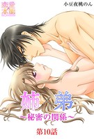 姉×弟〜秘密の関係〜