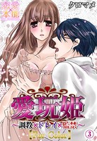 愛玩姫〜調教×ドレイ×監禁〜【カラー版】
